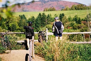 Motel Île d'Orléans