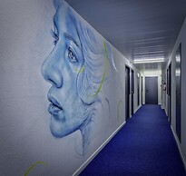 Ibis Budget SP Centro São João