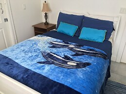 WHITEHOUSE Guesthouse