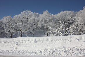 Country Inn Canadian House