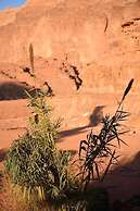 Wadi Rum Beduland Camp