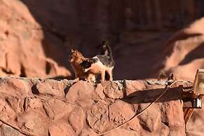 Wadi Rum Beduland Camp