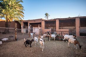 Ecolodge - La Palmeraie