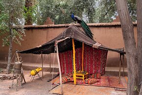 Ecolodge - La Palmeraie