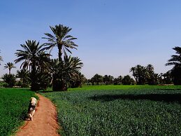 Ecolodge - La Palmeraie