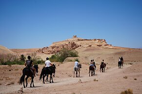 Ecolodge - La Palmeraie