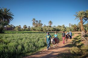 Ecolodge - La Palmeraie