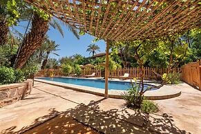 Ecolodge - La Palmeraie