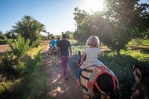 Ecolodge - La Palmeraie