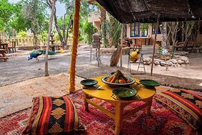 Ecolodge - La Palmeraie