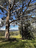 Bluegums Cabins Barrington Tops