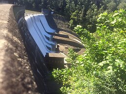 Bluegums Cabins Barrington Tops