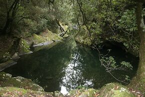 Bluegums Cabins Barrington Tops