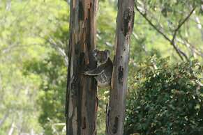 Bluegums Cabins Barrington Tops