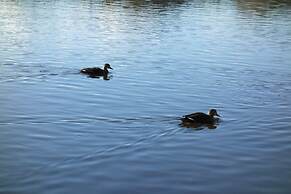 Izu Ippekiko Lakeside Terrace