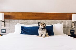 AC Hotel by Marriott Denver Downtown