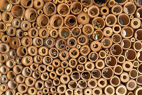 Namkat Yorla Pa Resort