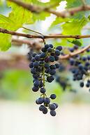 Namkat Yorla Pa Resort