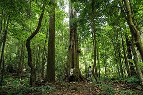 Namkat Yorla Pa Resort