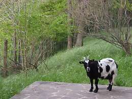 Agriturismo Cascina degli Ulivi