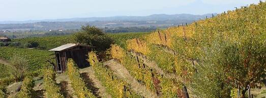 Agriturismo Cascina degli Ulivi