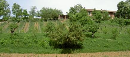 Agriturismo Cascina degli Ulivi