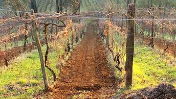 Agriturismo Cascina degli Ulivi