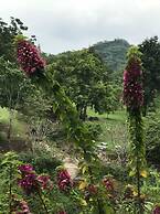 Suan Phueng Pa Wai Resort