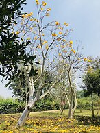 Suan Phueng Pa Wai Resort