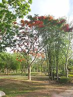 Suan Phueng Pa Wai Resort
