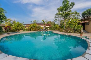 Jungle Villa Resort