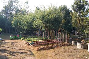 Thanyarat Resort and Organic Farm