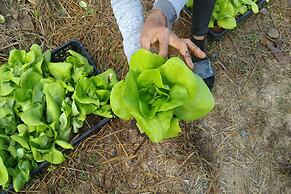 Thanyarat Resort and Organic Farm