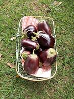 Lighthouse Farm Backpackers Lodge