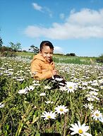 Lighthouse Farm Backpackers Lodge