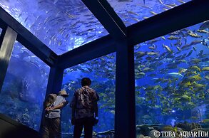 Wisterian Life Club Toba