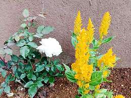 Kingsford Residences