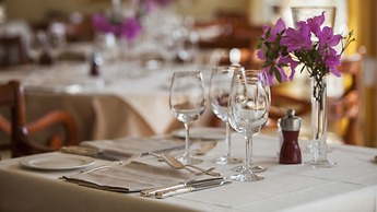 Villa Delta Suite House