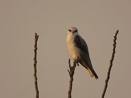 Kasara Resort - Chitwan National Park