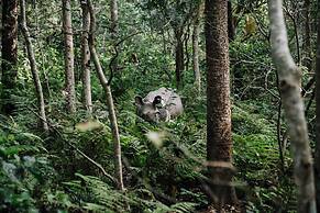 Kasara Resort - Chitwan National Park