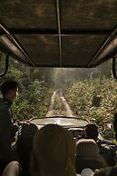Kasara Resort - Chitwan National Park
