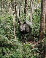 Kasara Resort - Chitwan National Park
