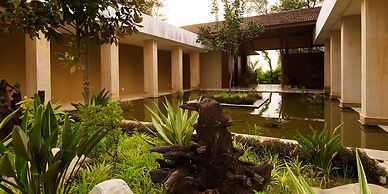 Kasara Resort - Chitwan National Park