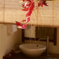 Kasara Resort - Chitwan National Park