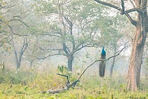 Kasara Resort - Chitwan National Park