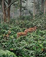 Kasara Resort - Chitwan National Park