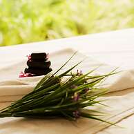 Kasara Resort - Chitwan National Park