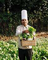 Kasara Resort - Chitwan National Park
