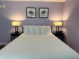 Dragonfly Guest House
