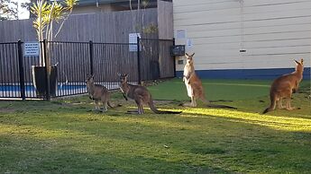 Palm Beach Caravan Park